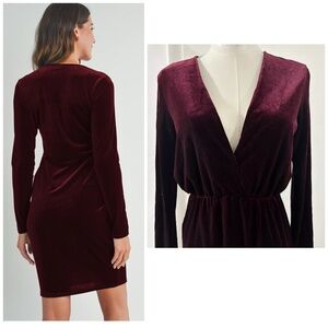 Blooms In The City Velvet Deep V Neck Burgundy Maroon Long Sleeve Dress Medium